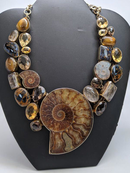 Rare Ammonite Necklace